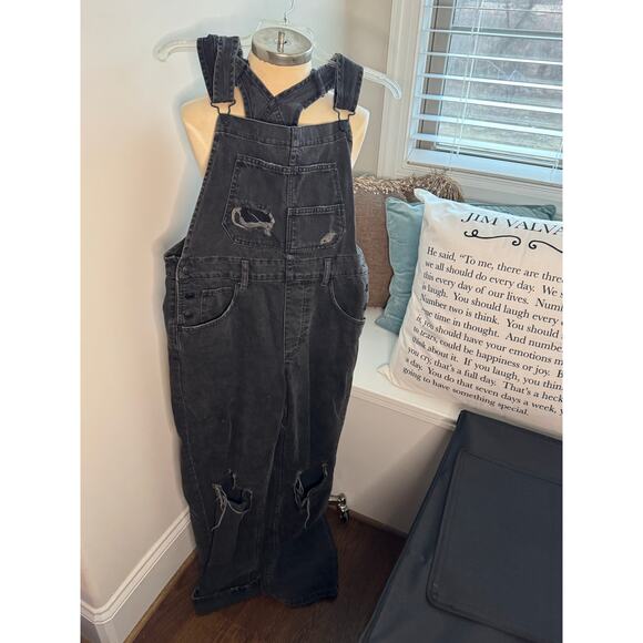 Free People We The Free Overalls - Picture 1 of 6